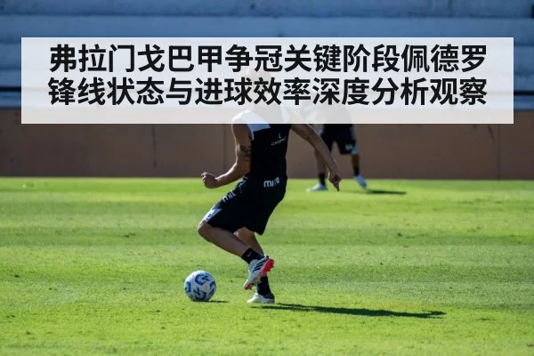 弗拉门戈巴甲争冠关键阶段佩德罗锋线状态与进球效率深度分析观察